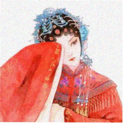 书友雨落青瓦头像